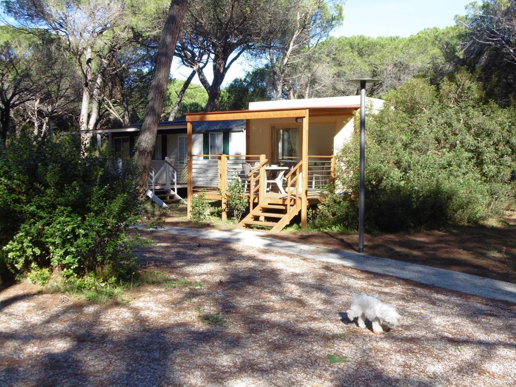 Camping Eden Marina di Grosseto Pokoj fotografie